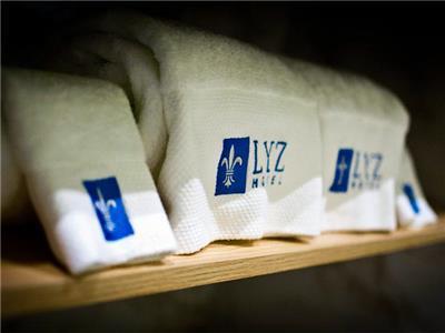 Lyz Business Lima